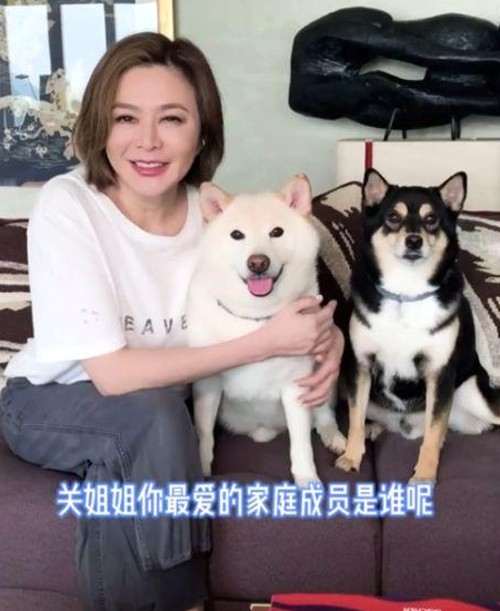 黑料吃瓜网聚焦郭敬明事件与国产Papa新潮流