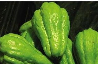 黑料网揭秘娱乐圈喵哥与经典影视新潮流