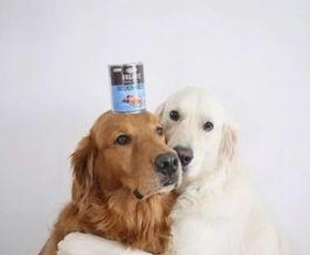 黑料网独家揭秘娱乐圈幕后与女星逆袭故事