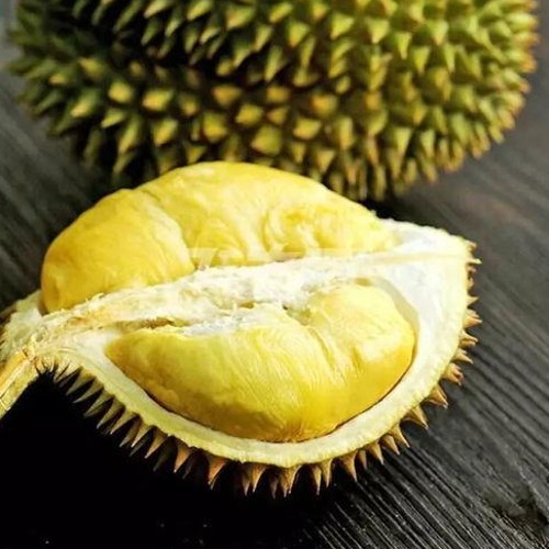 娱乐圈热点黑料揭秘：杨颖与李小璐的星途与争议