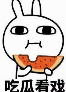 网红宠物墙仔意外走红，萌态与正能量兼备