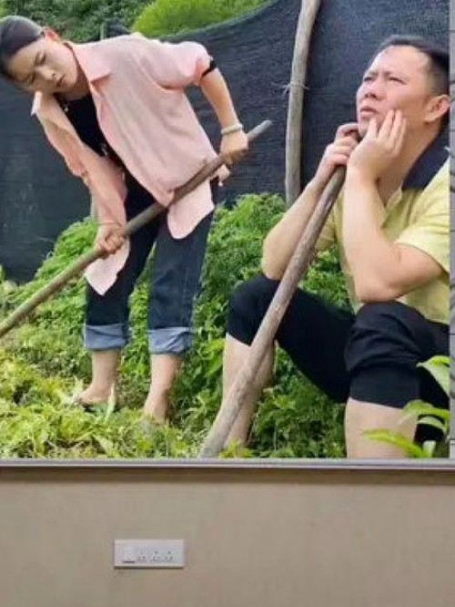 热点黑料背后的明星人际网：恋情、风波与隐秘生活一瞥