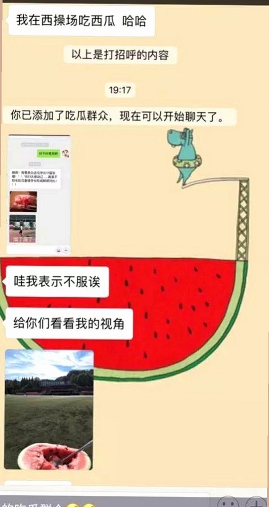 揭秘娱乐圈幕后趣闻：猫咪再见与吃瓜酱的独家视角
